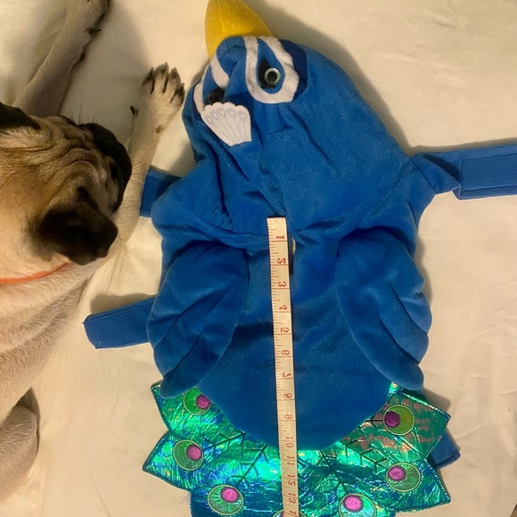 Dog Halloween Costume Peacock - Picture 4 of 7